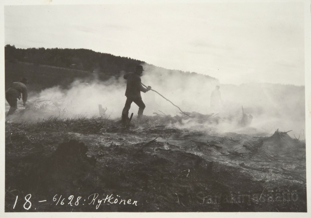 Sananen savolaisuudesta