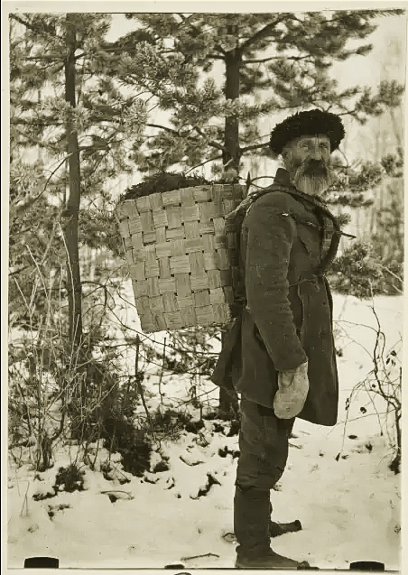 Noidantauti ja sairauskäsitykset